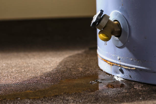 Best Flood damage cleanup  in Village Of Oak Creek, AZ