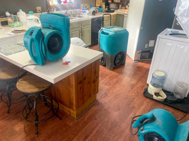 Best Local water damage restoration  in Village Of Oak Creek, AZ
