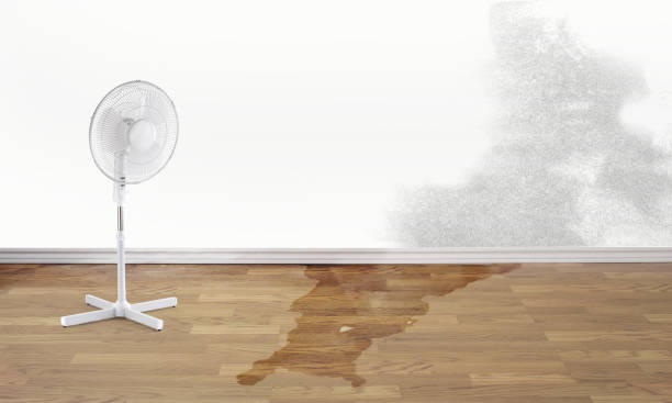 Best Flood restoration services  in Village Of Oak Creek, AZ