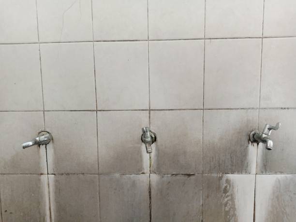 Best Water damage contractors near me  in Village Of Oak Creek, AZ