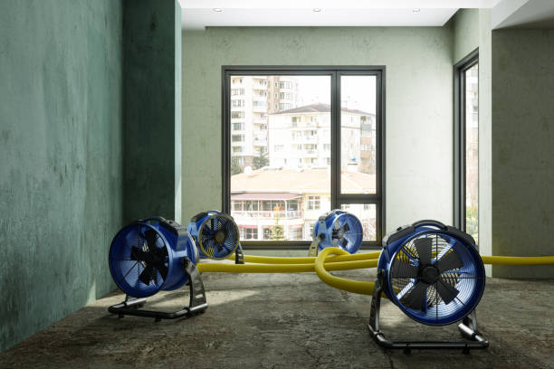 Best Basement water damage restoration  in Village Of Oak Creek, AZ